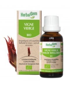 Virginia creeper (Ampelopsis veitchii) jp BIO, 15 ml